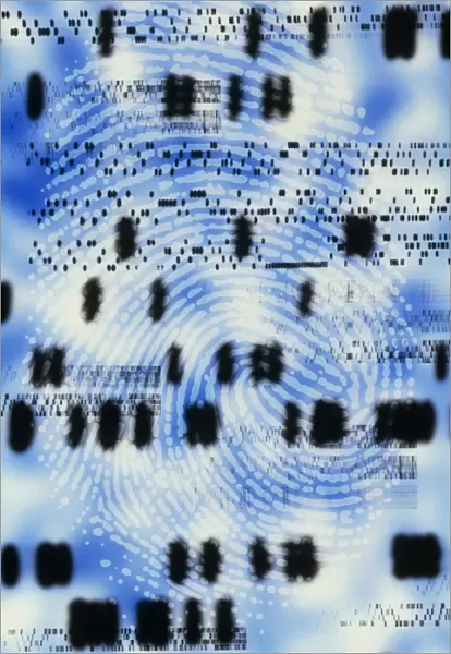 Artwork of DNA sequences and a human fingerprint
