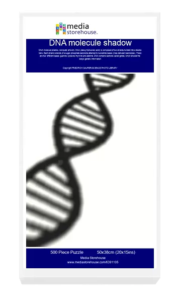 DNA molecule shadow
