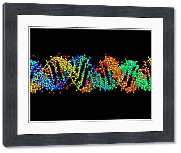 Double-stranded RNA molecule
