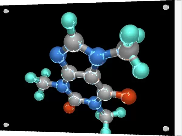 Caffeine, molecular model