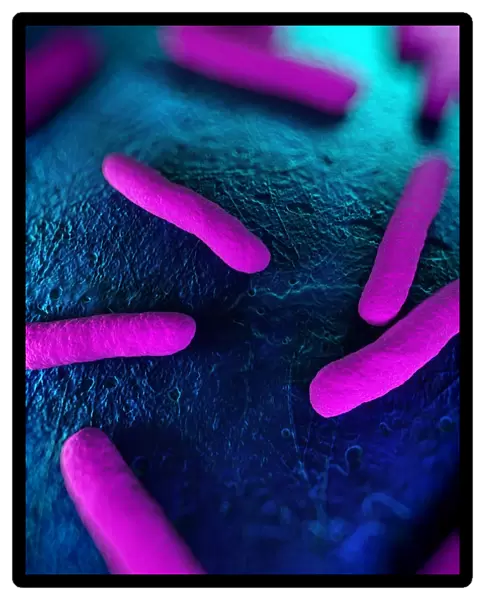 Bacteria, conceptual artwork