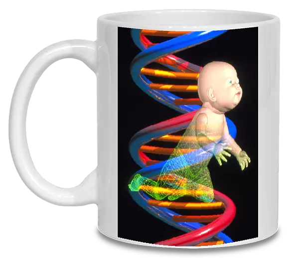 Cloning: computer artwork of a baby and DNA