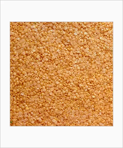 Dried lentils, a type of pulse