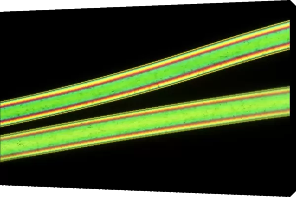 Polarised light micrograph of two Nylon 66 fibres