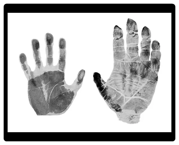 Human and gorilla handprint