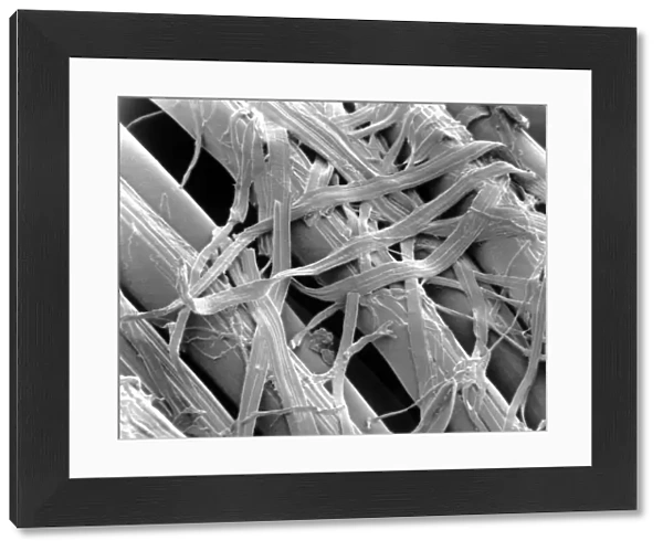 SEM of lyocell (synthetic cellulose) fibres