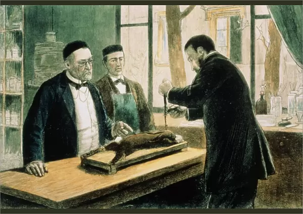 Pasteur supervising inoculation of rabies vaccine