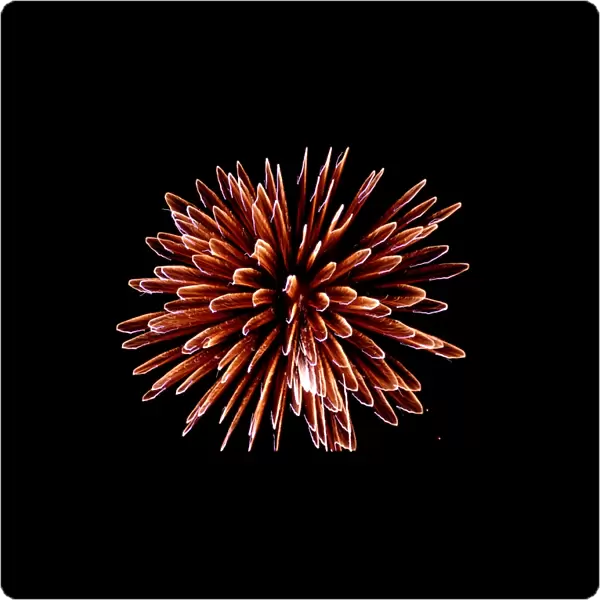 Fireworks. Explosives, usually gunpowder, create the explosion