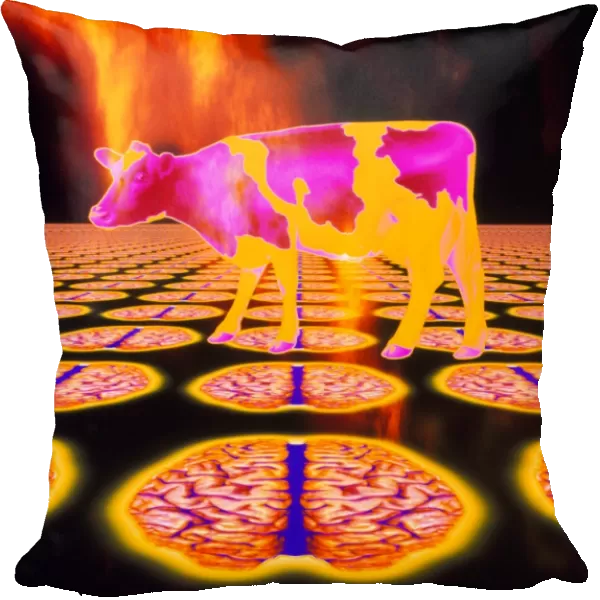 Computer art of mad cow (BSE), flames, human brain