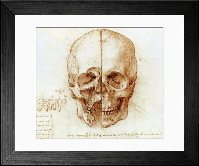 Framed Print : Skull Anatomy Print by Leonardo da Vinci Framed Print : Skull Anatomy Print by Leonardo da Vinci