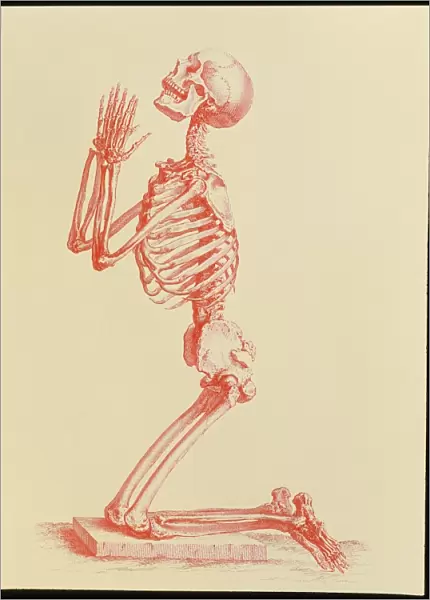Engraving of praying male skeleton by Cheselden