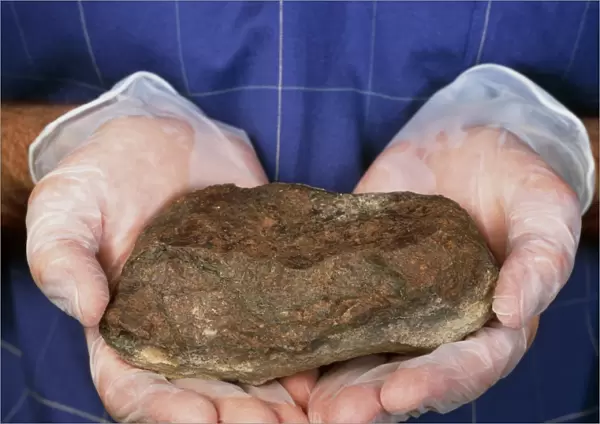 Researcher holds a meteorite found in Arizona, USA