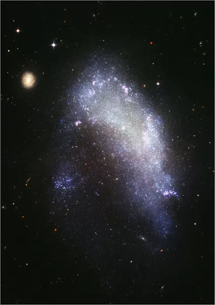 Irregular galaxy NGC 1427