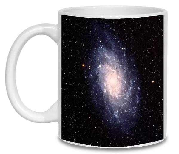 Triangulum galaxy (M33)