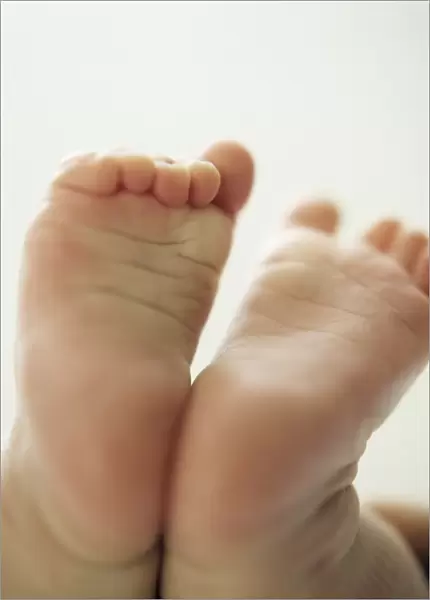 Baby feet. MODEL RELEASED. Baby feet. Feet of a two month old baby girl