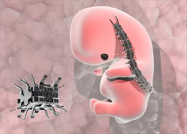 Nanorobots with human embryo