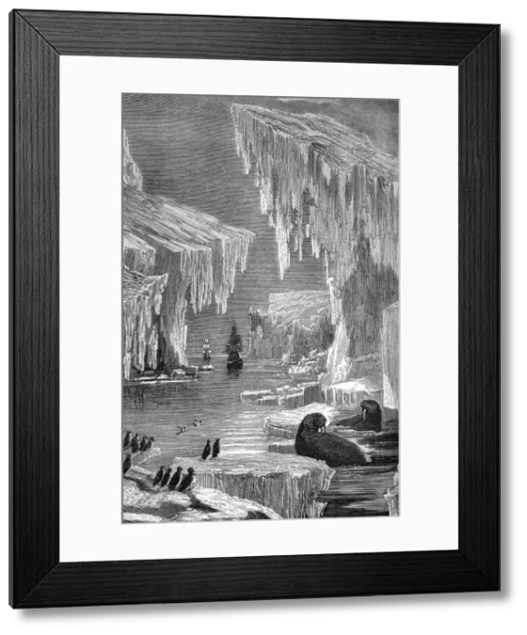 Framed Print : 19th Century Arctic Exploration Print Framed Print : 19th Century Arctic Exploration Print
