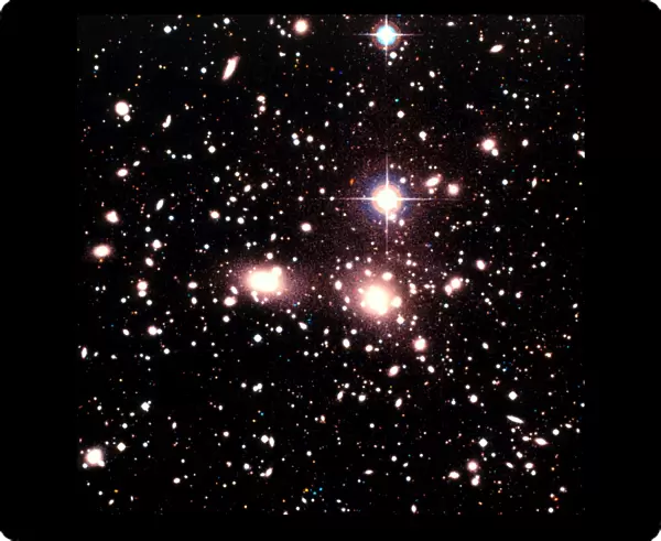 Optical image of galaxies in the Coma cluster