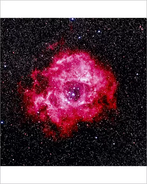 Optical image of the Rosette nebula NGC 2237-2239