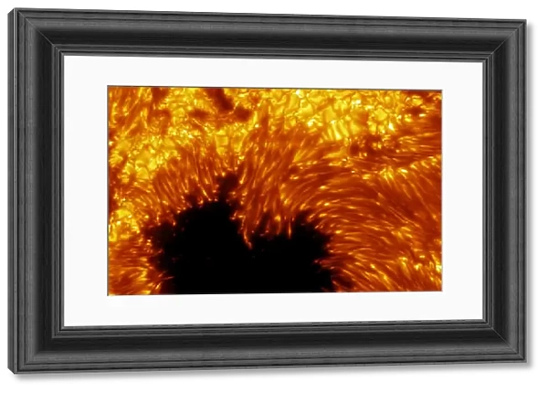 Sunspots. Swedish One-metre Solar Telescope image of sunspots on the surface of the Sun