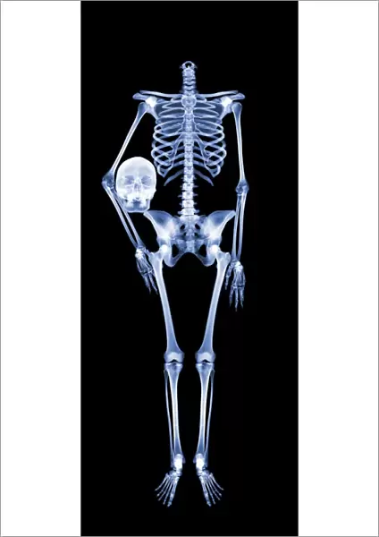 Headless skeleton