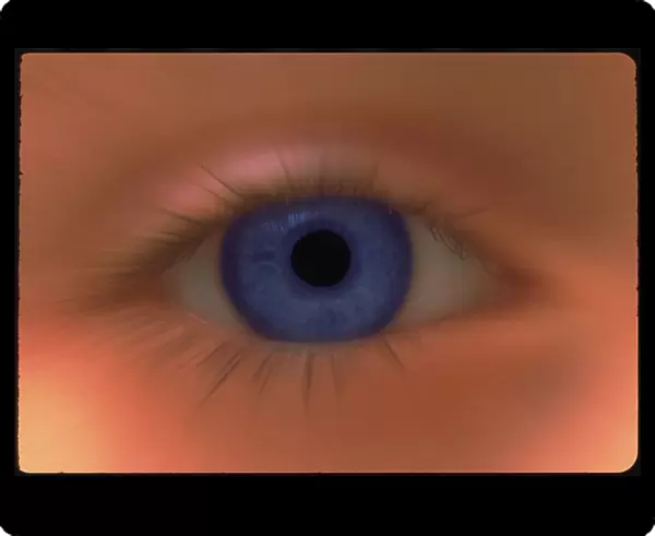 Zoom effect image of a young girls blue eye