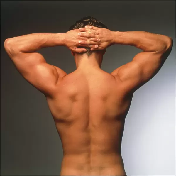 Naked torso (back view) of an athletic young man