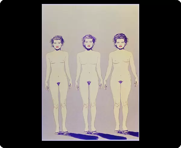 Illustration of 3 body shapes of women