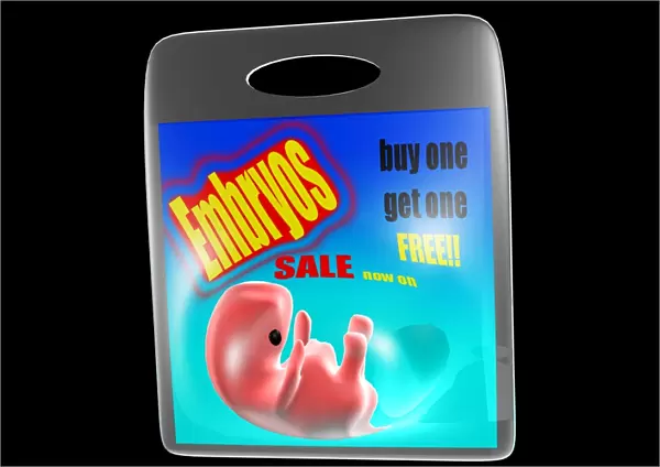 Human embryo for sale