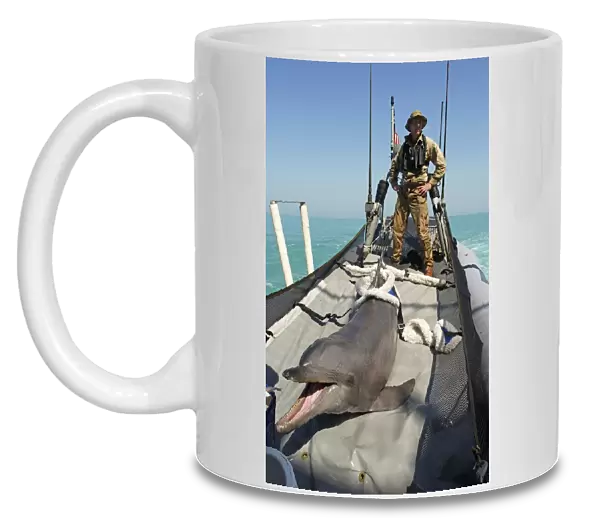 US Navy bottlenose dolphin