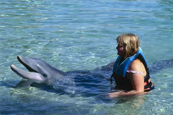 Dolphin education