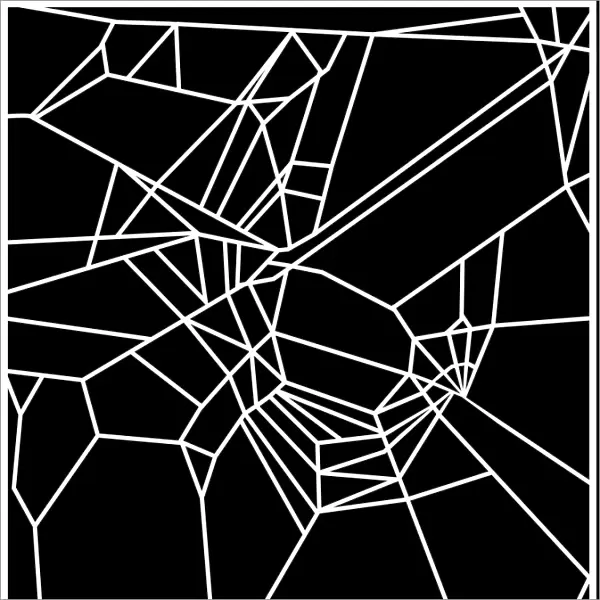 Web of spider exposed to caffeine