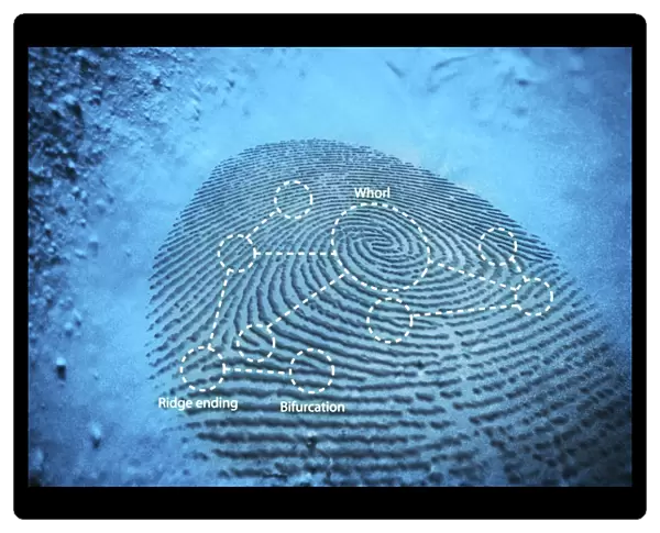 Fingerprint, computer artwork