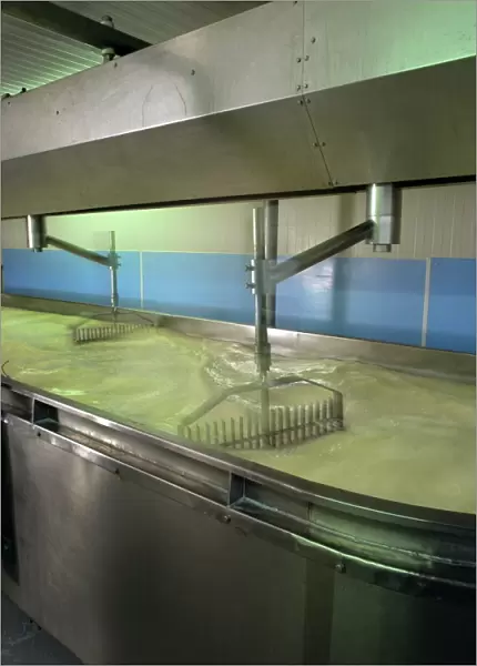 Cheddar cheese production