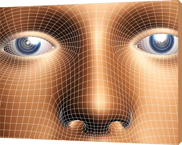 Face biometrics