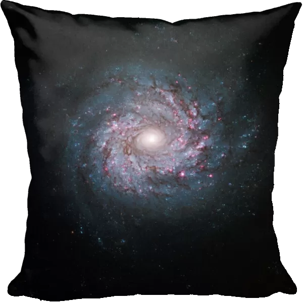 Spiral galaxy, HST image C013  /  5098