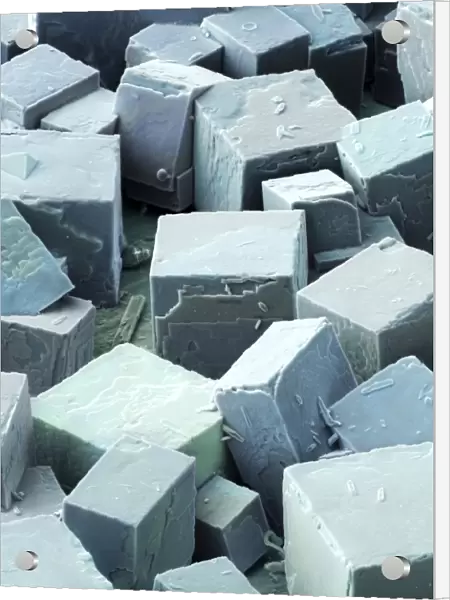 Common salt crystals SEM