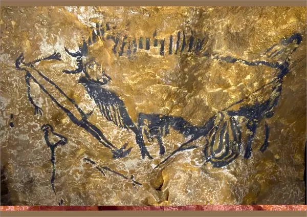 Le Thot replica of Lascaux cave painting C013  /  7373