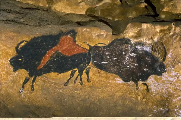 Le Thot replica of Lascaux cave painting C013  /  7374
