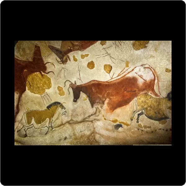 Lascaux II cave painting replica C013  /  7386