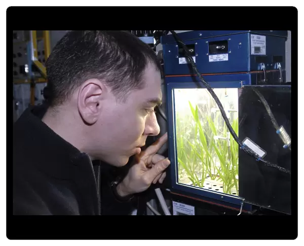 Astronaut plant experiment on the ISS C016  /  4206