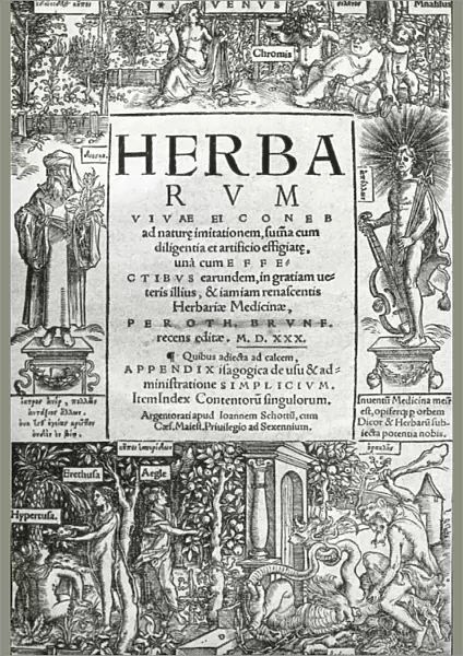 Brunfelss Herbarium (1530)