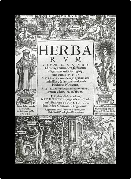 Brunfelss Herbarium (1530)