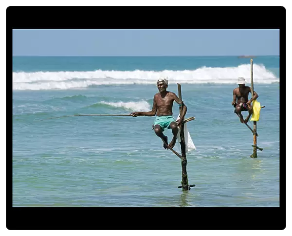 Stilt fishermen in Sri Lanka C017  /  9991