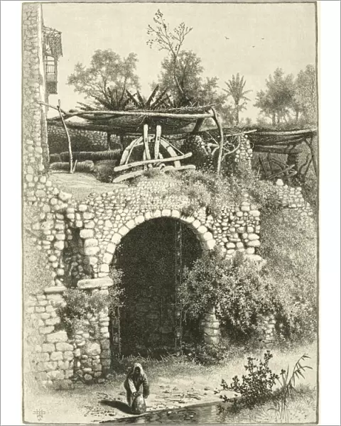 Water wheel in Egypt, 1880s C016  /  8989