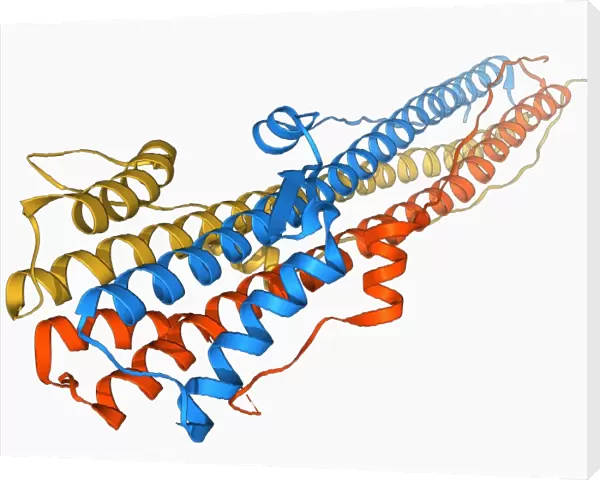 Haemagglutinin protein subunit F006  /  9479