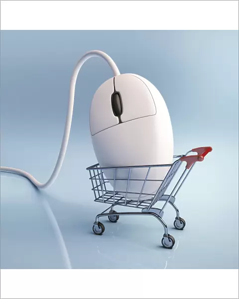 Internet shopping, conceptual artwork F006  /  8670