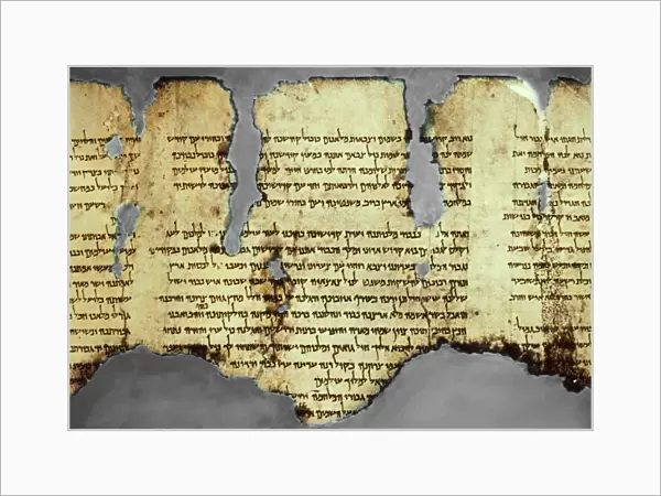Dead Sea scroll fragment, 1st century AD C014  /  2074