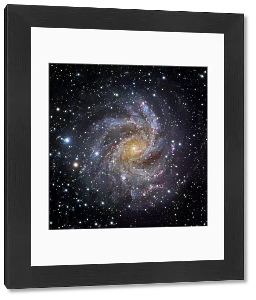 Spiral galaxy NGC 6949, optical image C017  /  3750