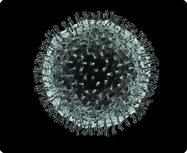 Coronavirus, artwork F007  /  0229